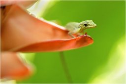 _dsc0879 1920